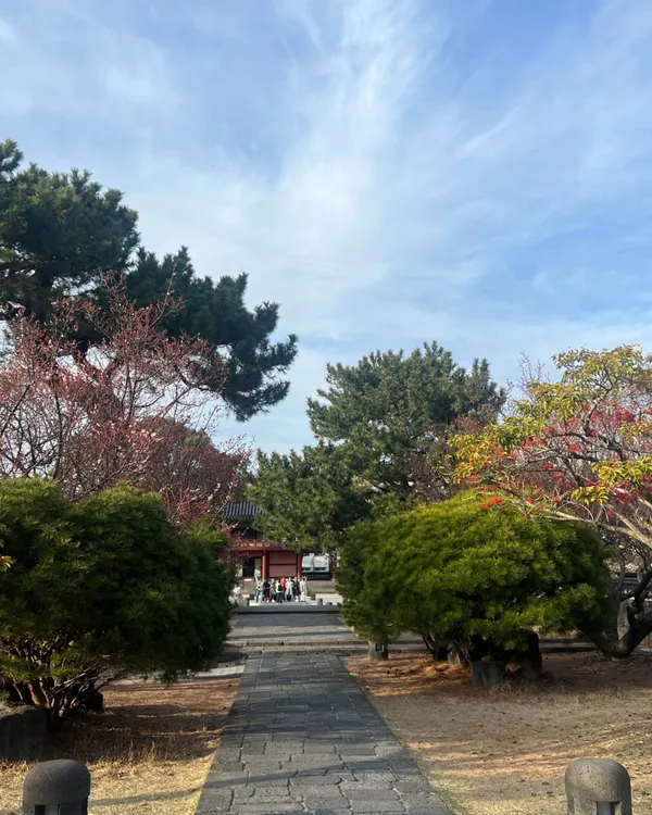 제주목관아 사진 4