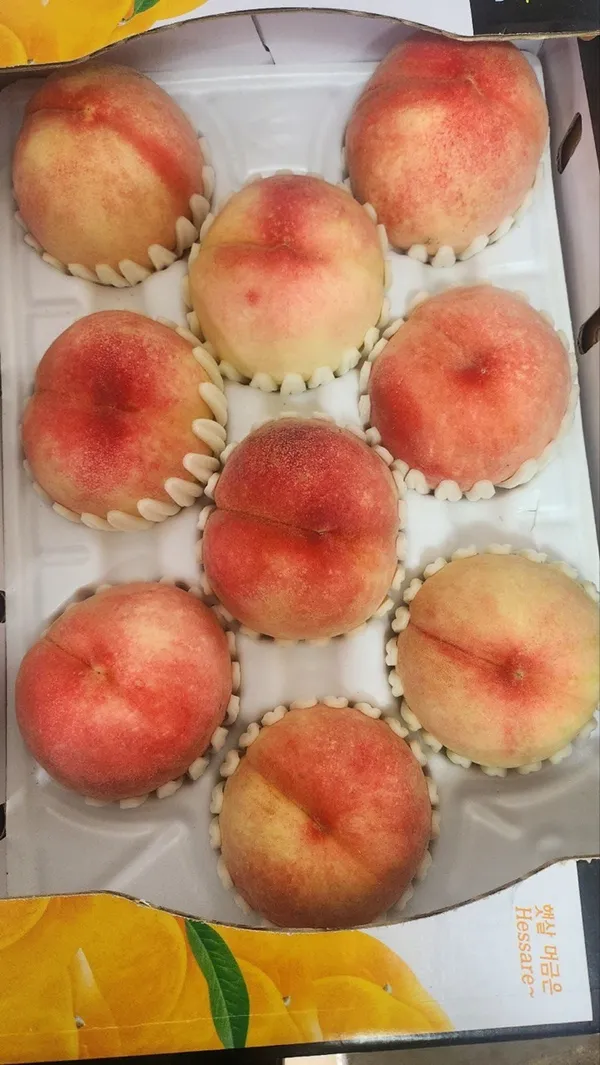 천은농장 사진 4