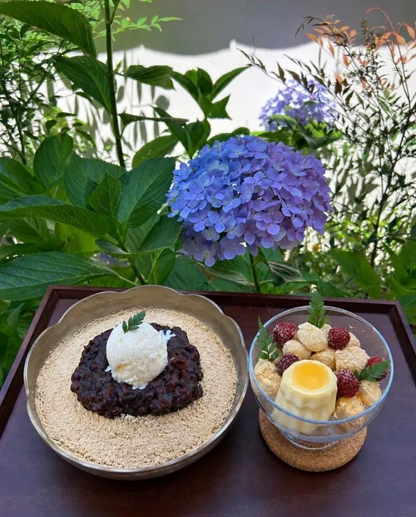따뜻한 섬 온도