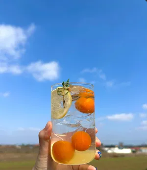 カフェ ビベース