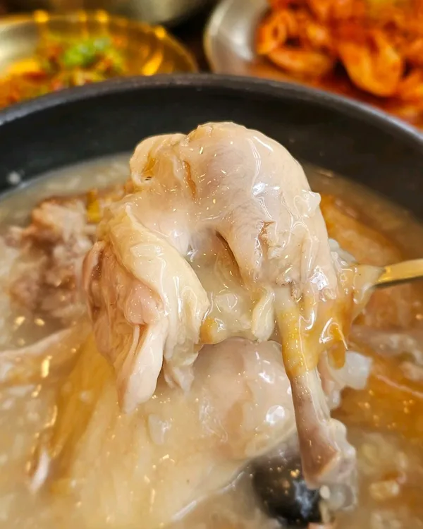 대전 유성 추천 13탄 36곳