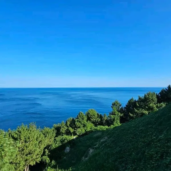영덕해맞이공원 사진 3