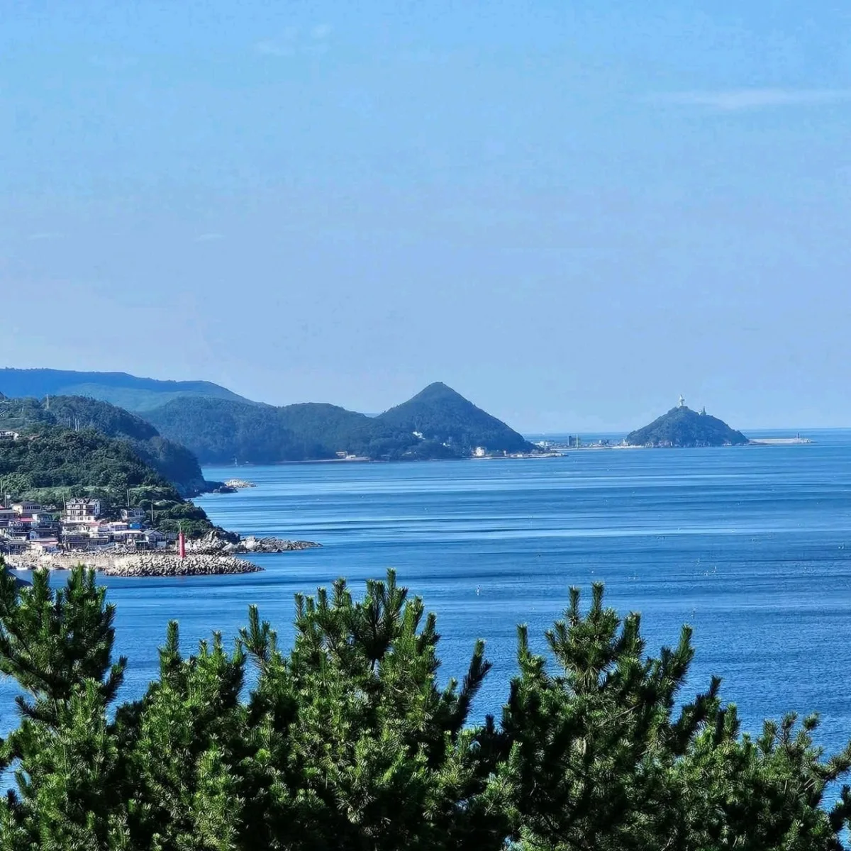 영덕해맞이공원 대표 사진