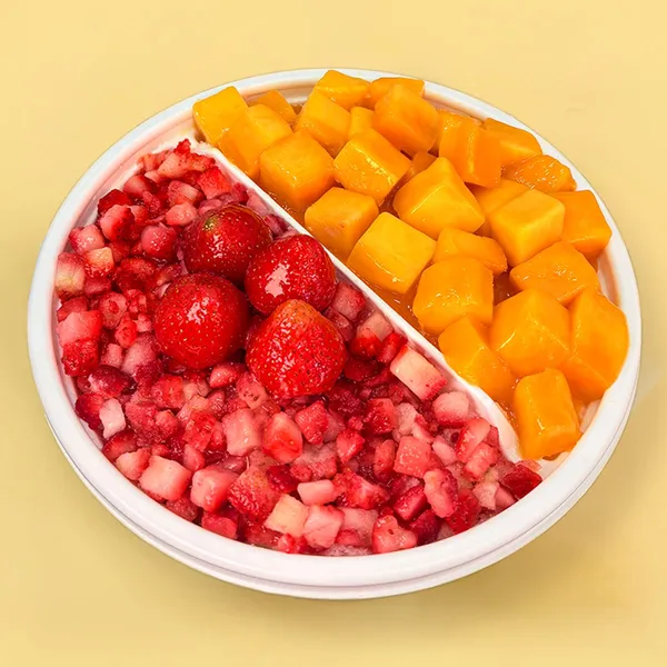 스노우벨 사진 2
