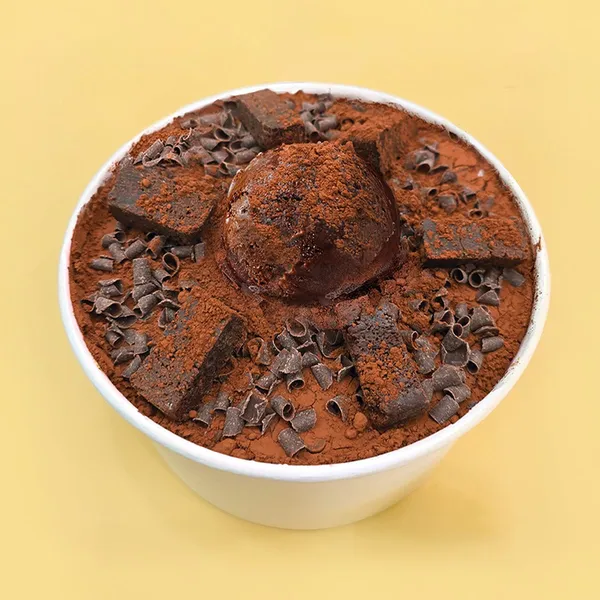스노우벨 사진 5