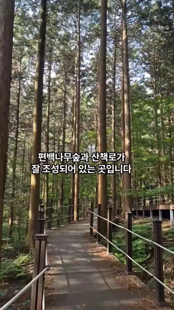 장성 추천 2탄 10곳