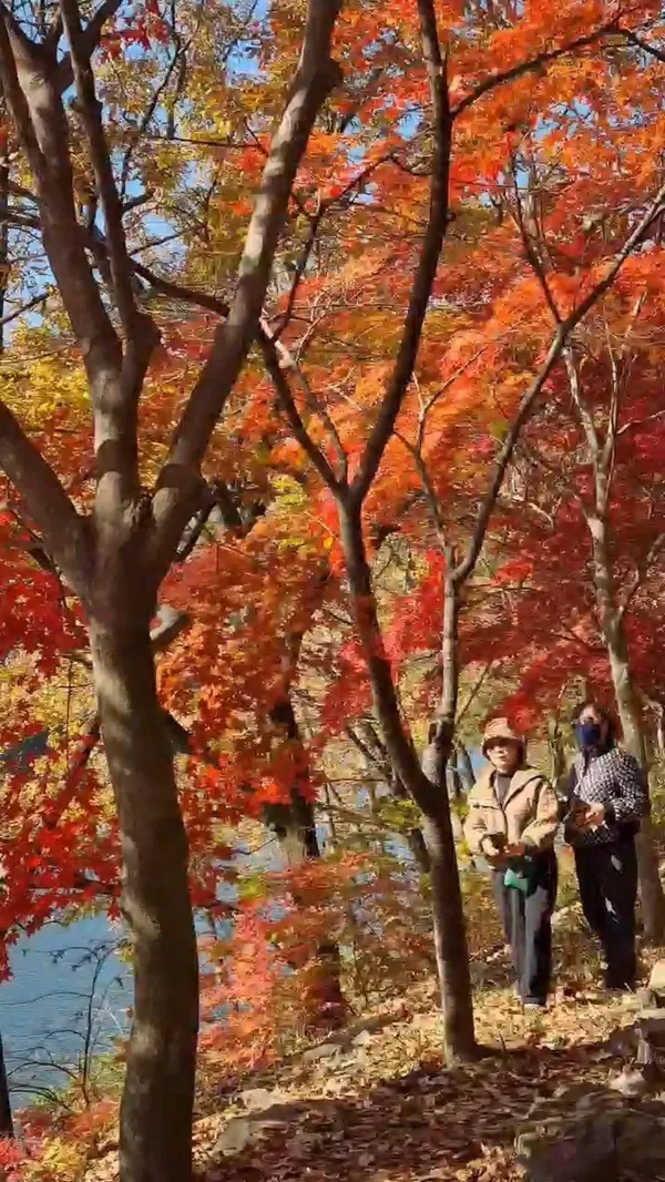 입곡군립공원 사진 2