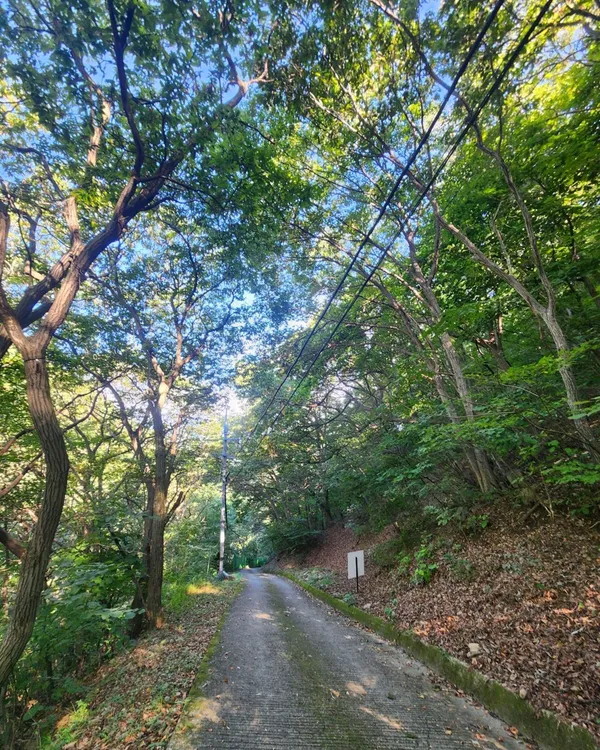단석산 사진 3