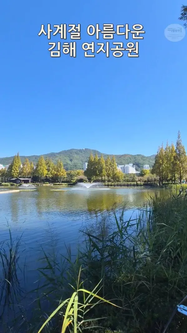 キムヘヨンジ公園の写真2