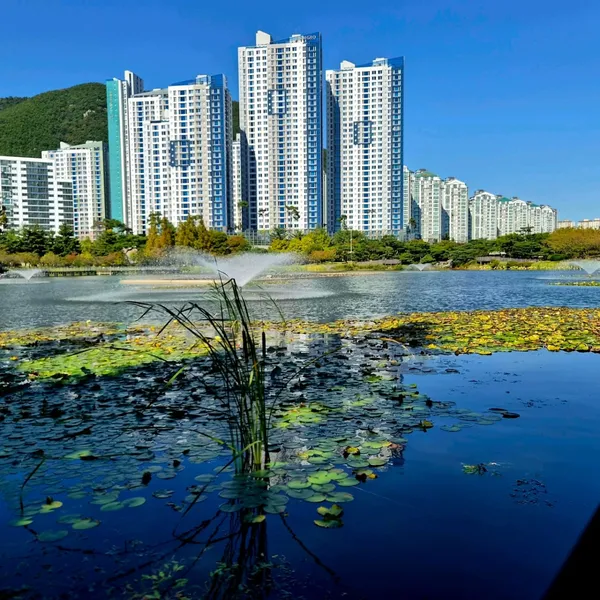 김해연지공원