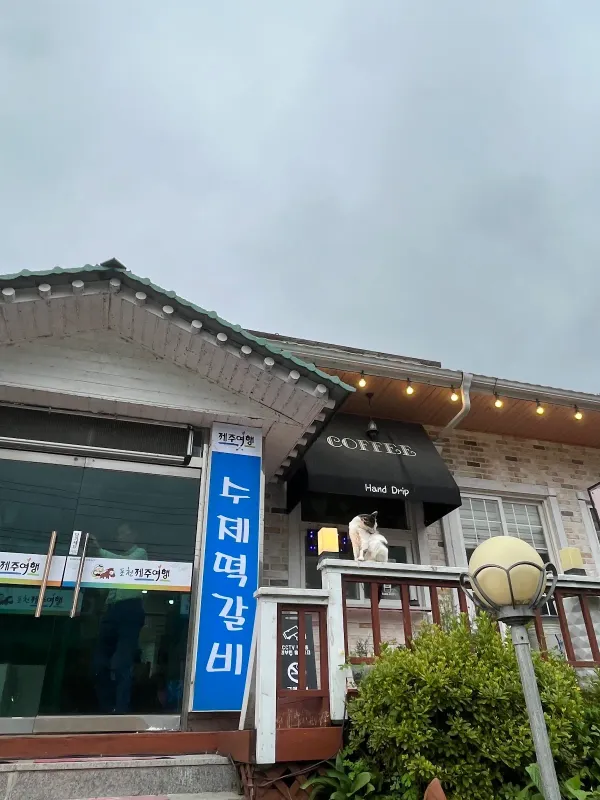제주여행 사진 5
