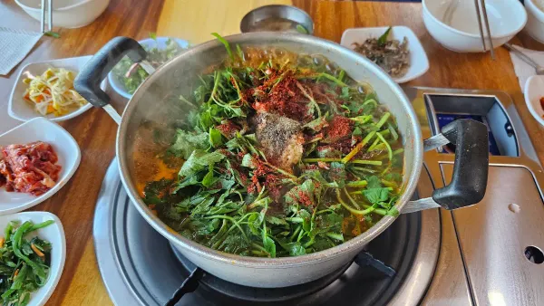 털보집 사진 3