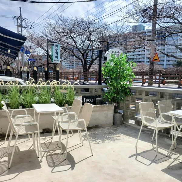 르쎄 사진 5