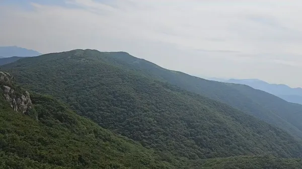 천성산 사진 4