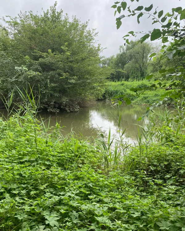 ヨイド セッカン生態公園の写真5