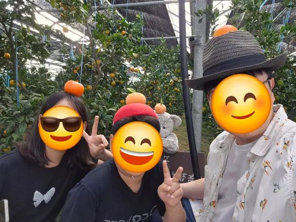 コッギュルノンジャン カムギュルタギチェホムの写真3