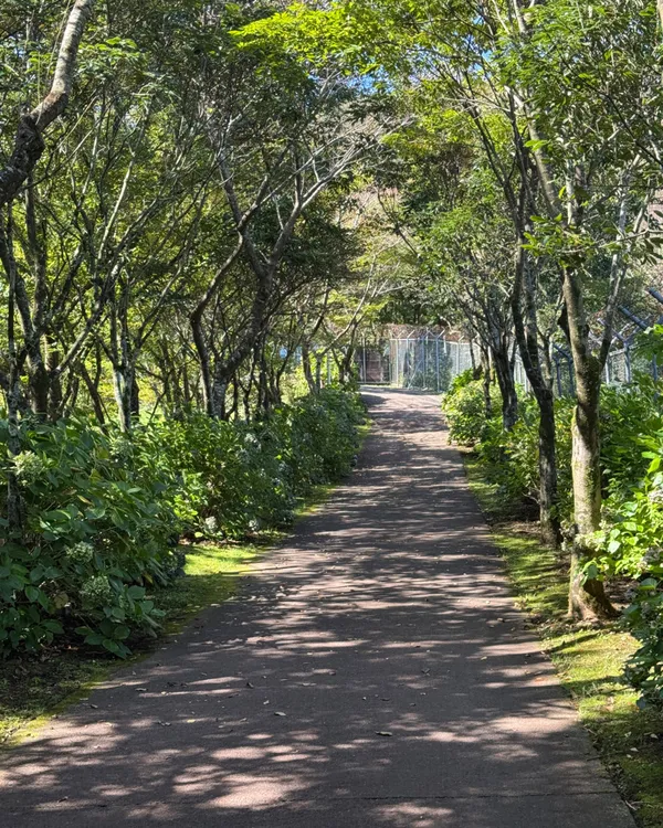 ノル生態観察園の写真3