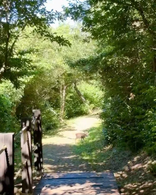 ノル生態観察園