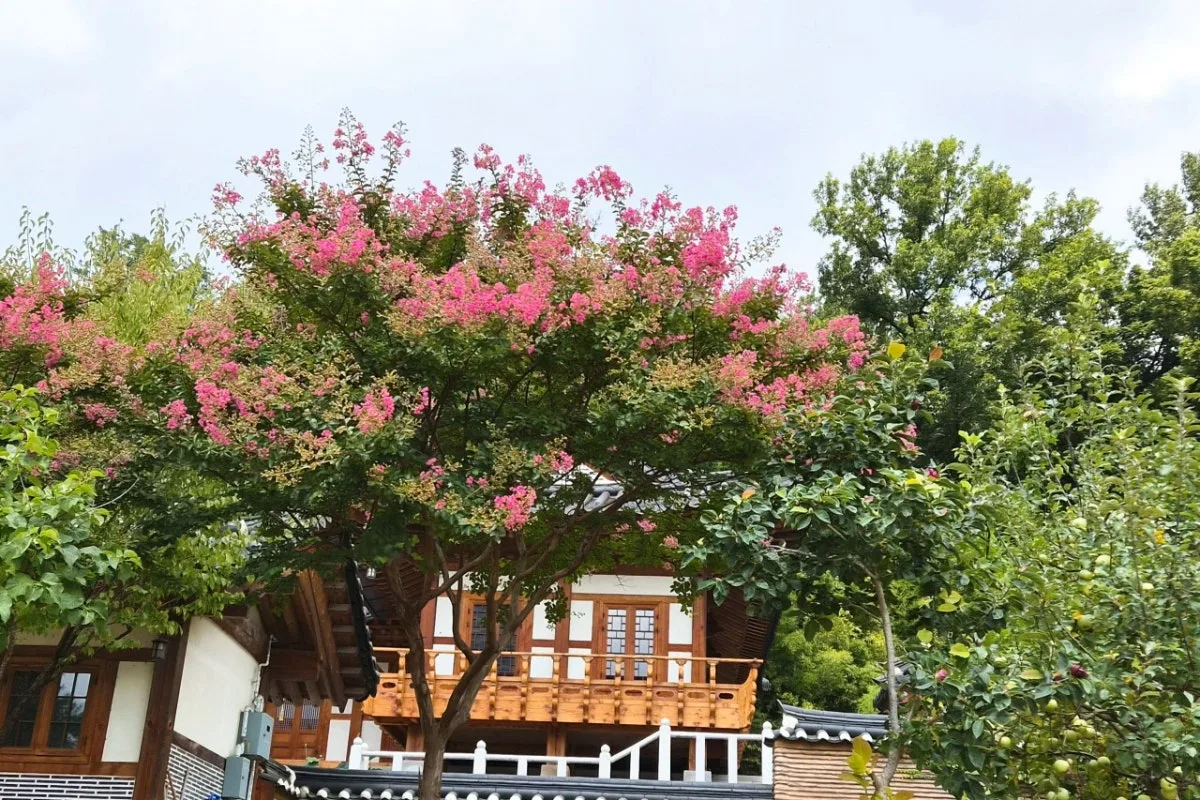 ポンウンサ ソレウォンのメイン写真