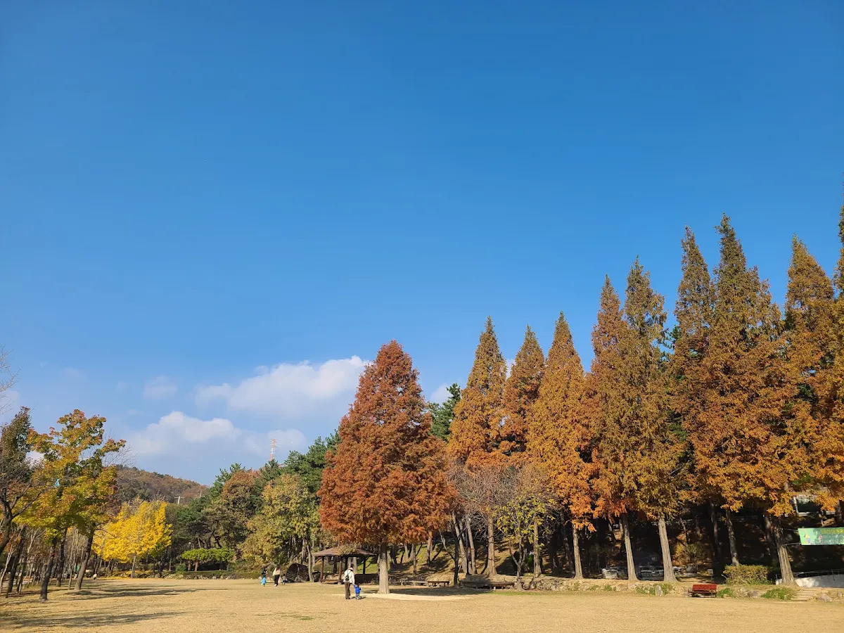 ドウムサン森林文化修練場のメイン写真