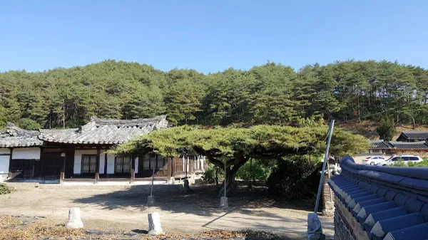 안동 진성이씨 온혜파 종택(퇴계태실) 사진 5