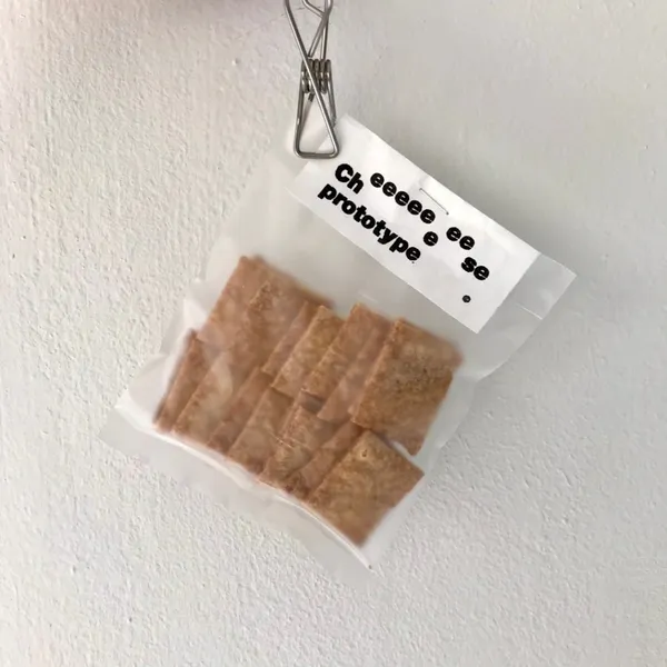 チーズプロトタイプの写真3