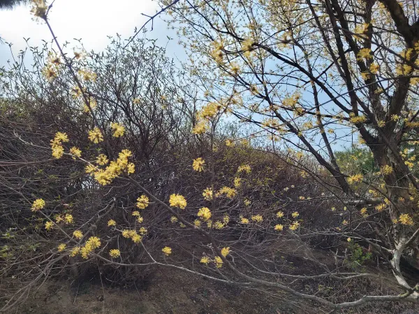 귀산서원 사진 3