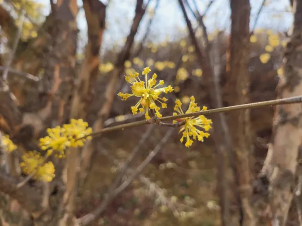 귀산서원 사진 4