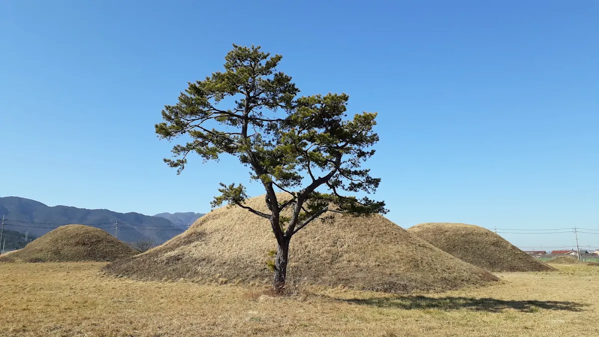 경주 금척리 고분군
