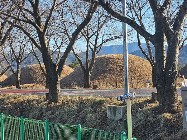 경주 금척리 고분군 사진 4