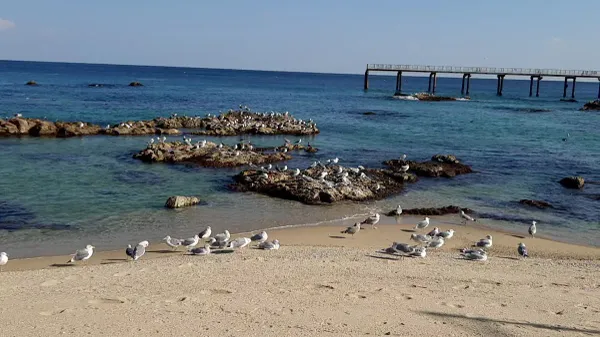 Geoil 1-ri Fishing Village Experience Village, photo 2
