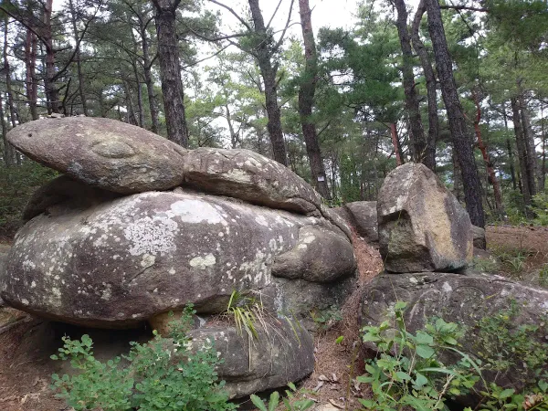 천생산성산림욕장 사진 5