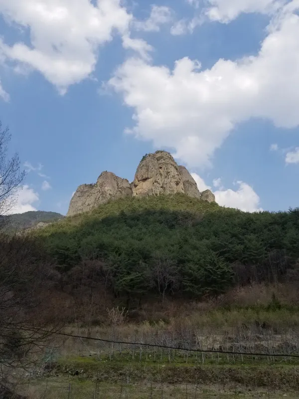 대전사 사진 5