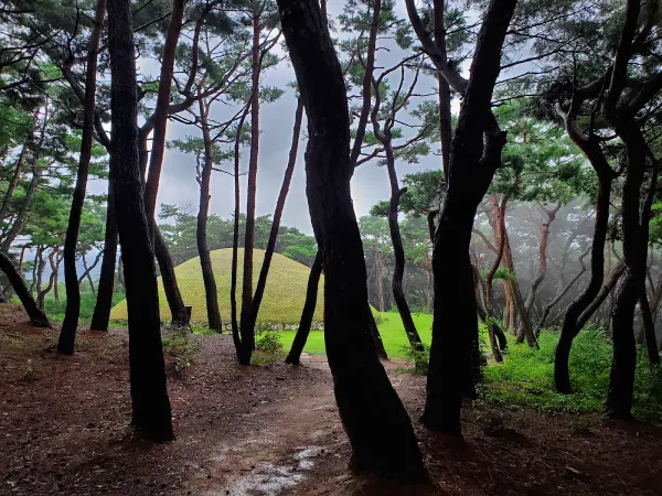 경주 선덕여왕릉 사진 2