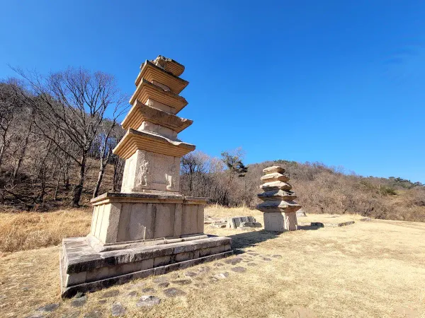 경주 장항리 서 오층석탑 사진 2