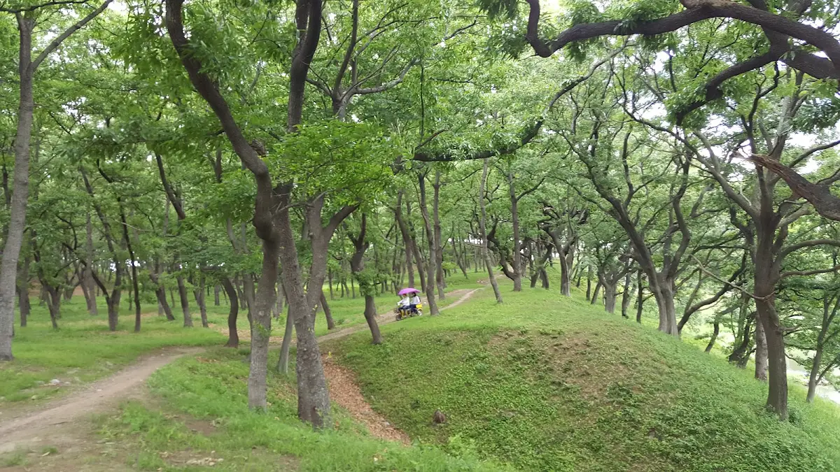 경주 인왕동 사지 대표 사진