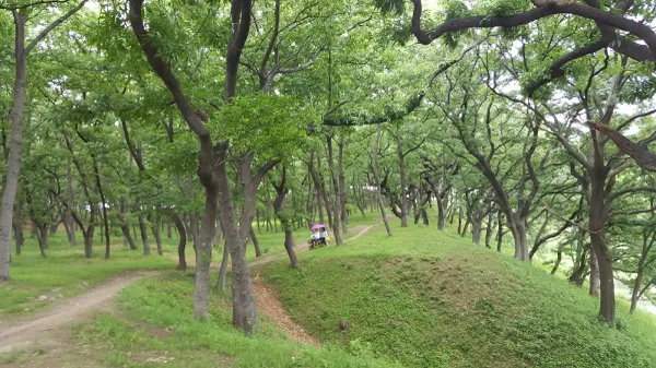 경주 인왕동 사지