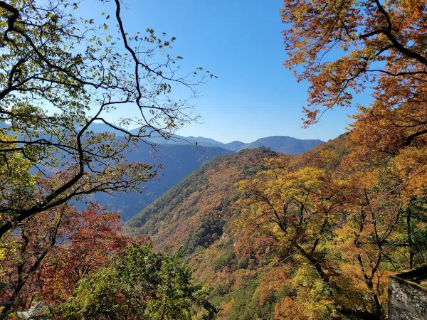 サリアムの写真3