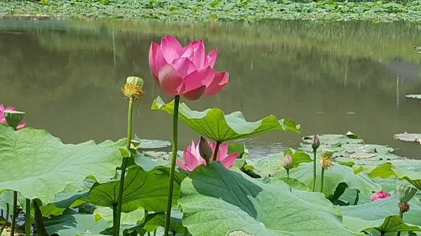 경주 서악동 고분군 사진 4