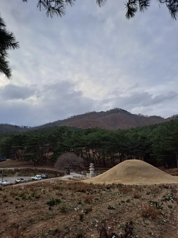 경주 서악동 고분군 사진 5