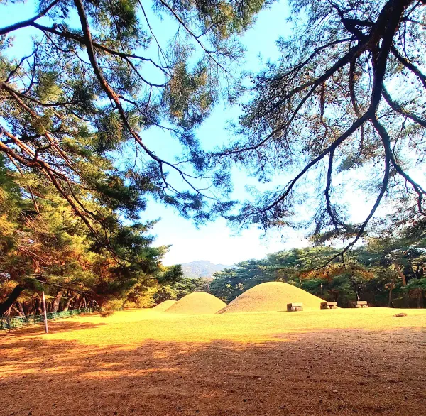 경주 배동 삼릉 사진 2