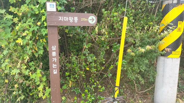 경주 지마왕릉 사진 4