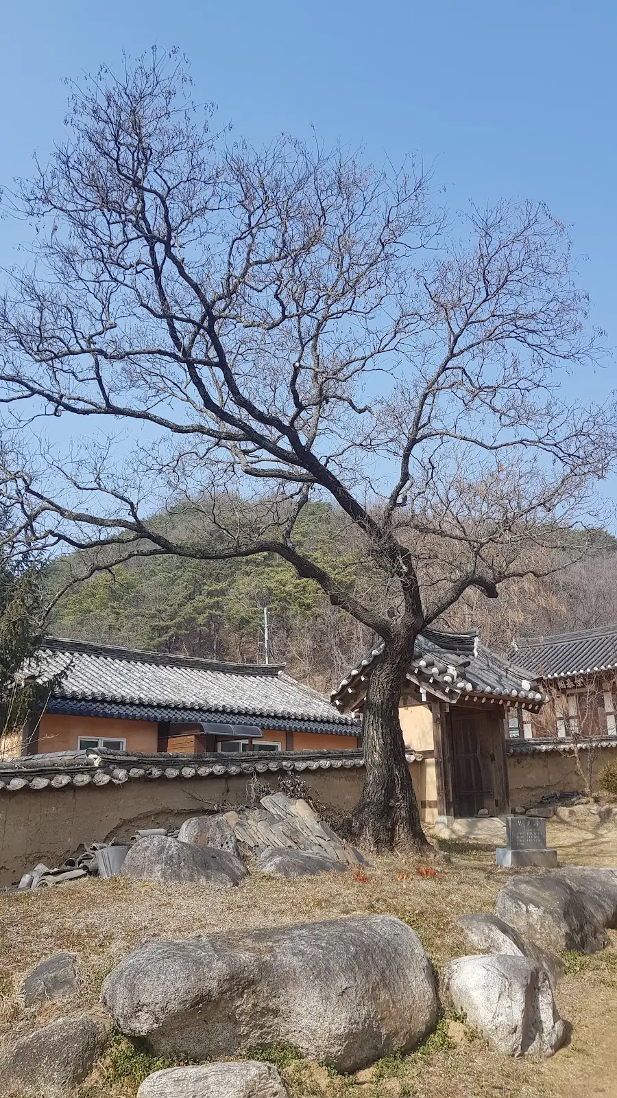 안동 의성김씨 종택 대표 사진