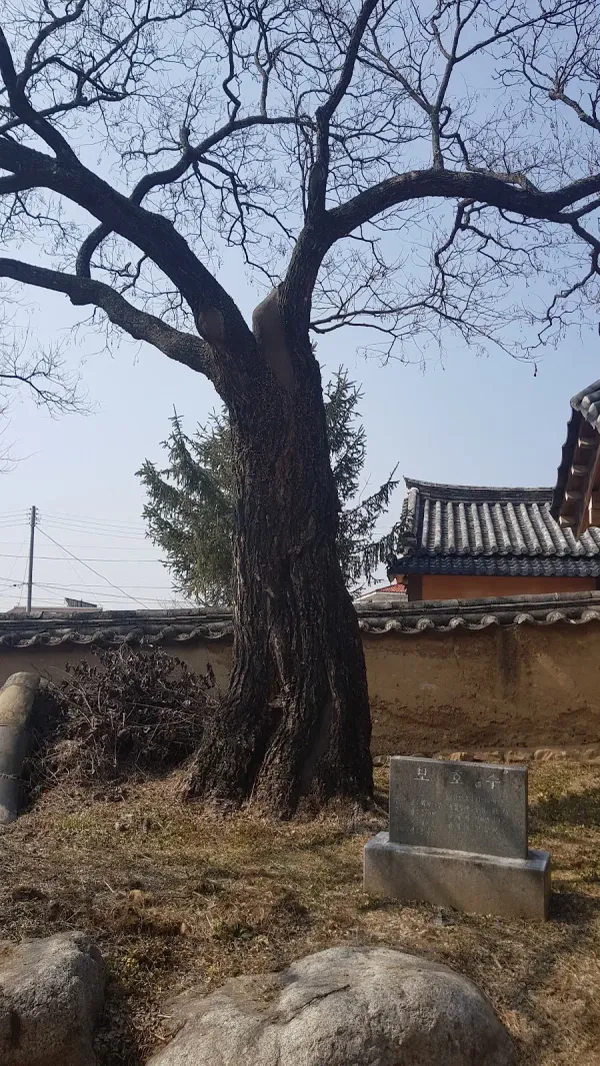 안동 의성김씨 종택 사진 2