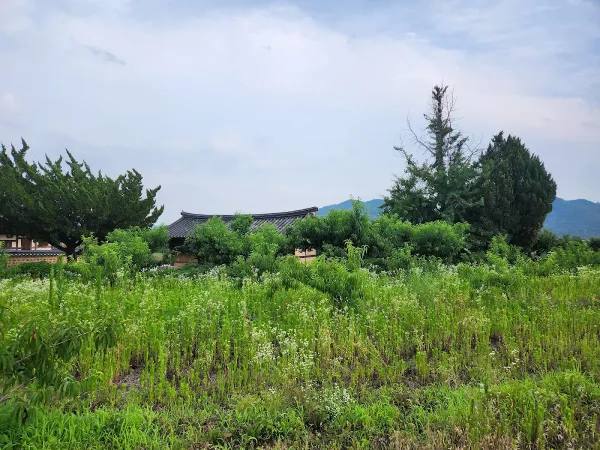 산운마을 사진 4