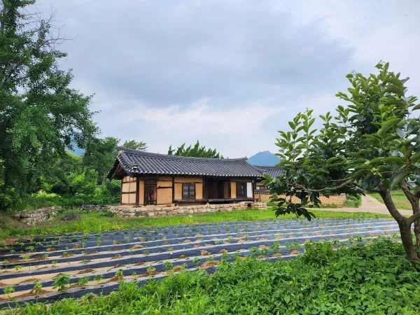 산운마을 사진 2