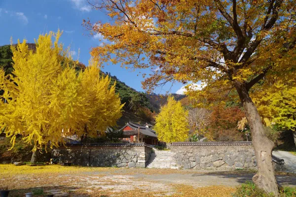 鳳林寺