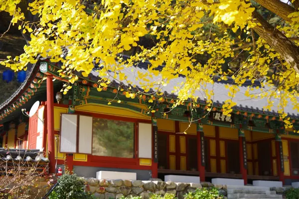 鳳林寺の写真2