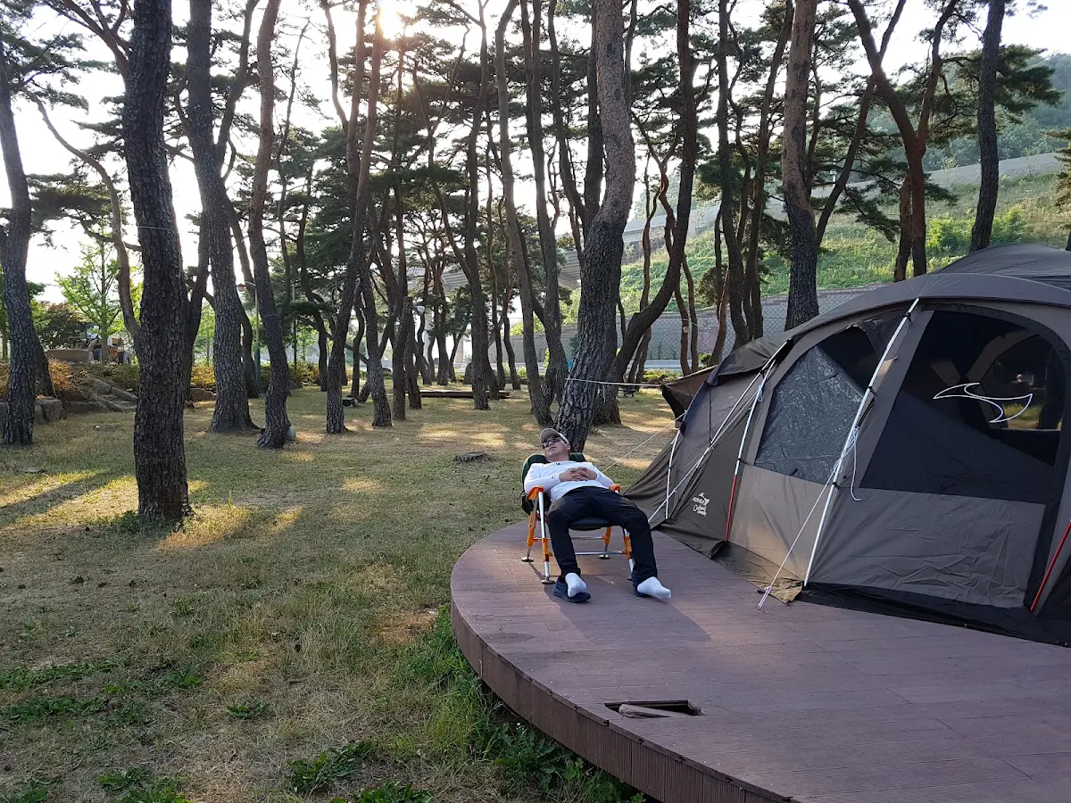 중평솔밭 대표 사진