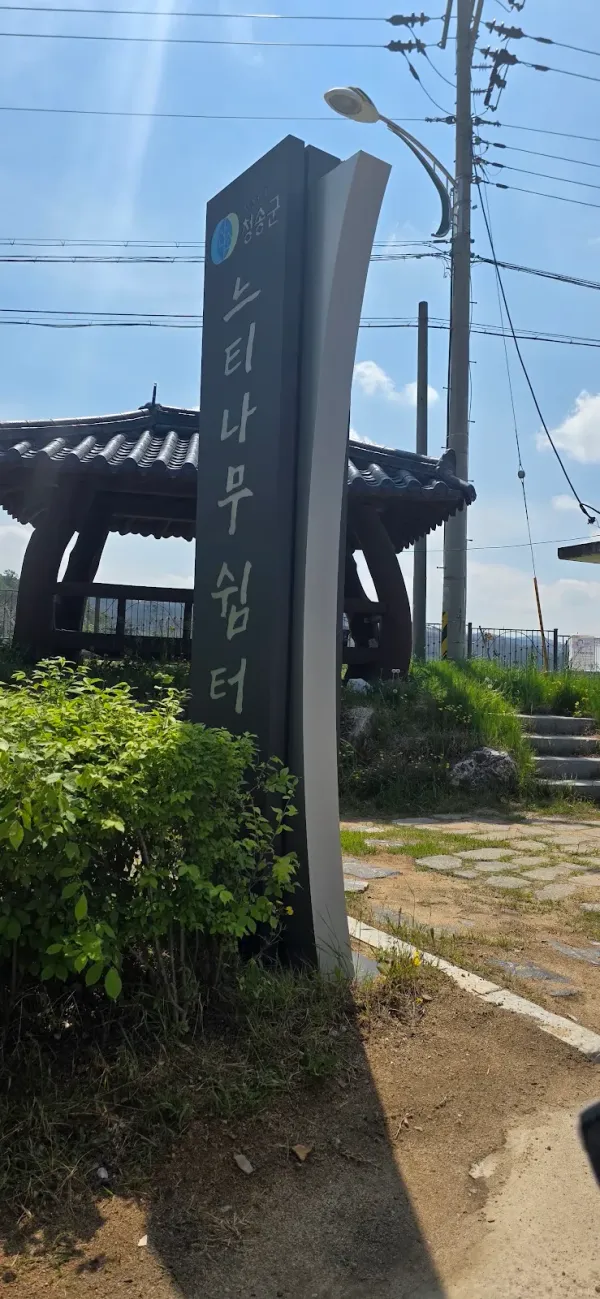 청송 신기리 느티나무 사진 4